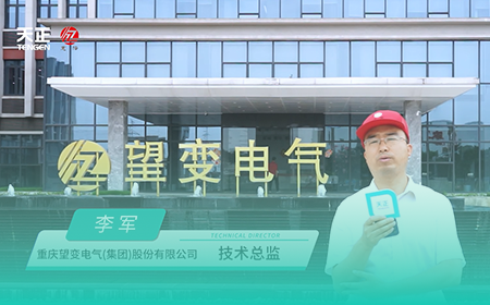赏金国际x望变电气